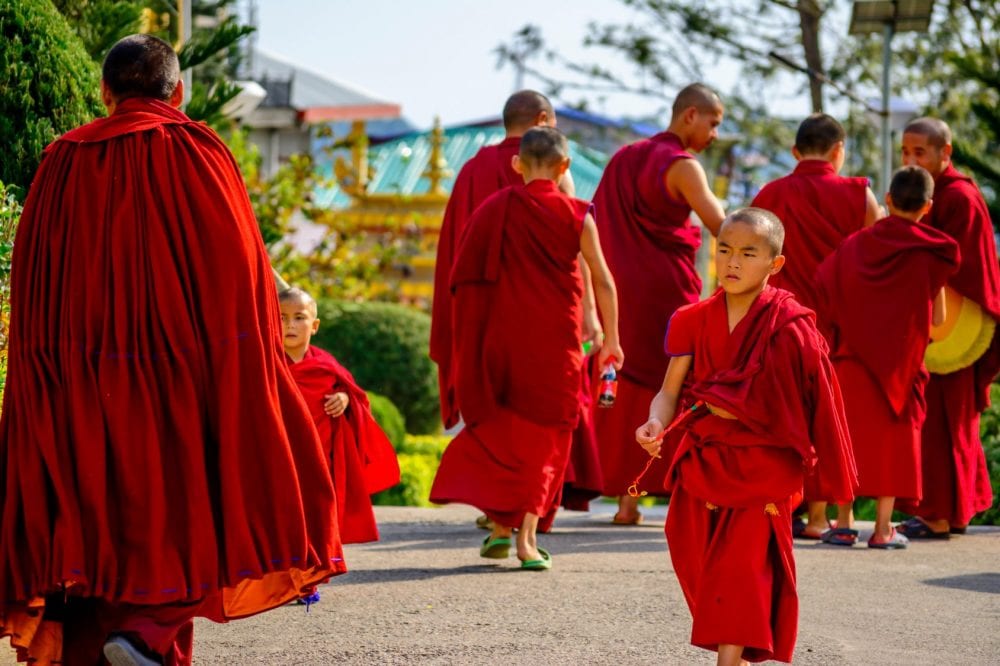 Dharamsala: tibetische Mönche aus dem Gyuto Kloster - Reise nach Himachal Pradesh (Indien)