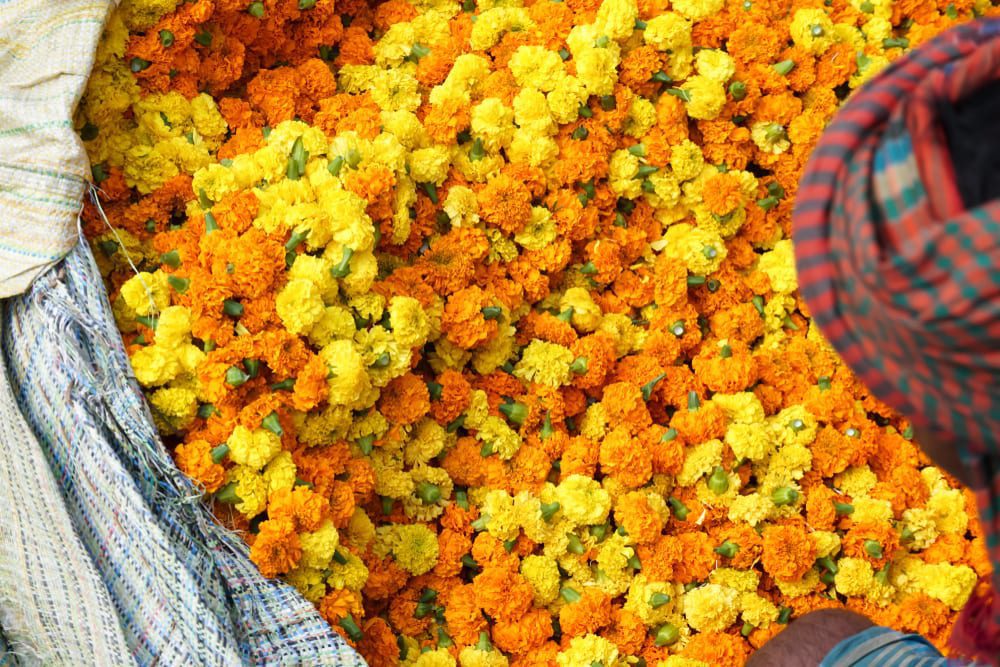 Besuchen Sie den farbenfrohen Blumenmarkt in Kolkata