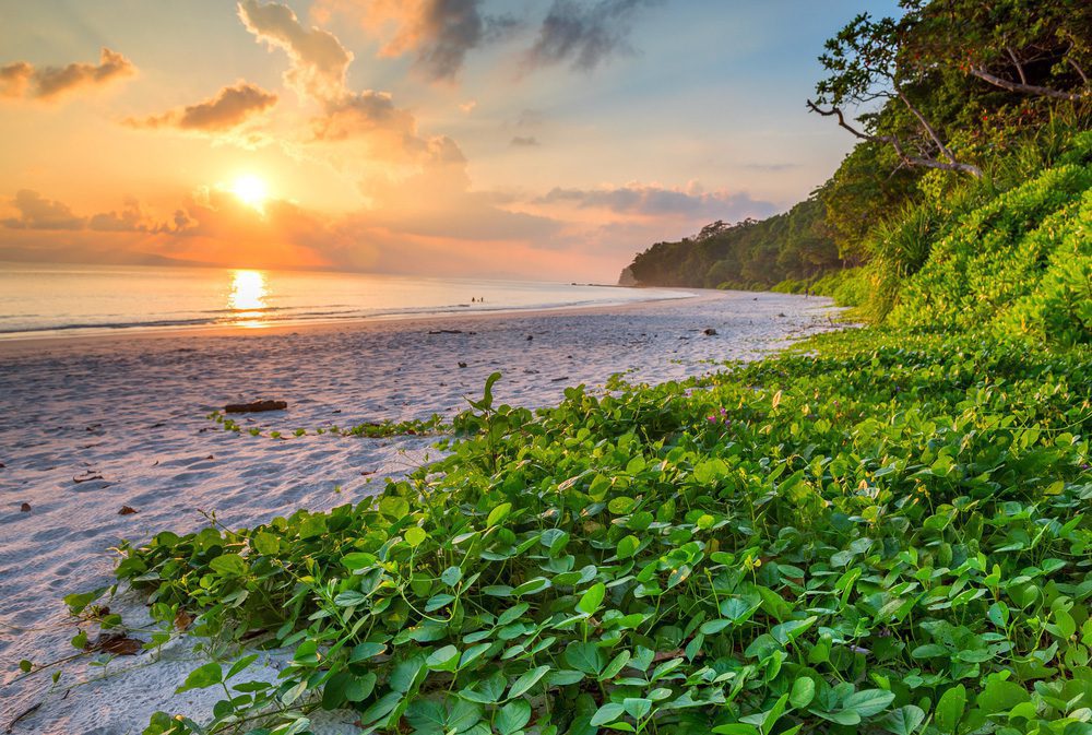 Der berühmte Radhanagar Beach auf Havelock Island bei Sonnenuntergang (Andamanen, Indien)