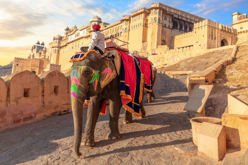 Besteigen Sie das wehrhafte Amber Fort in Jaipur auf dem Rücken eines Elefanten