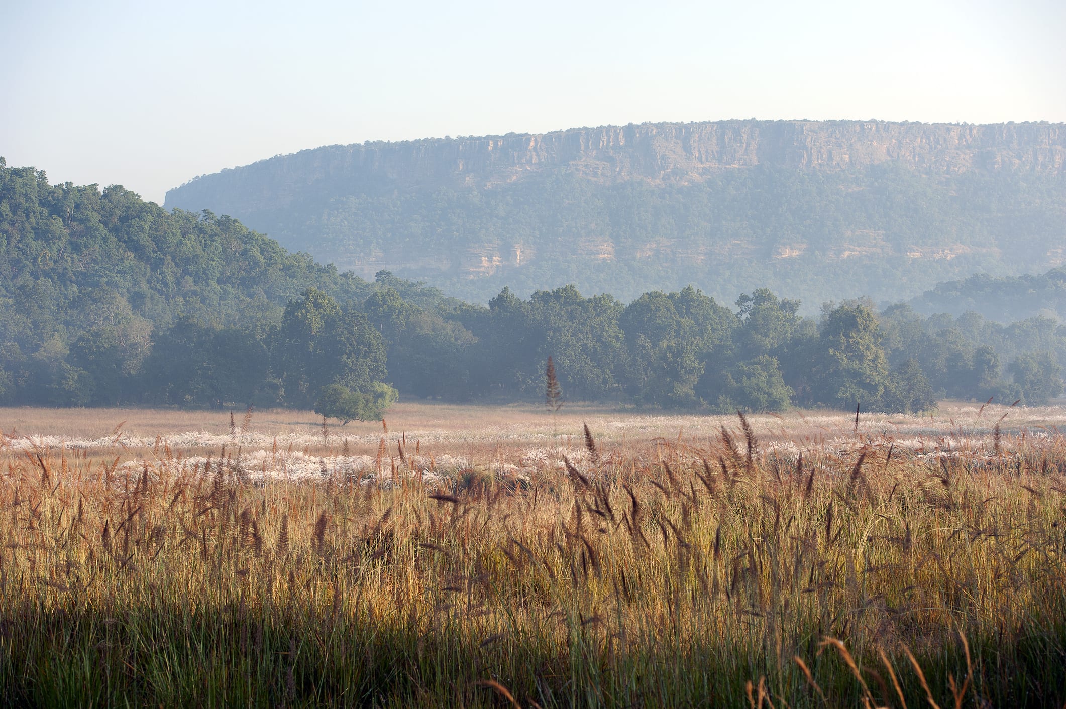 Die atemberaubende Landschaft vom Bandhavgarh-Nationalpark in Indien