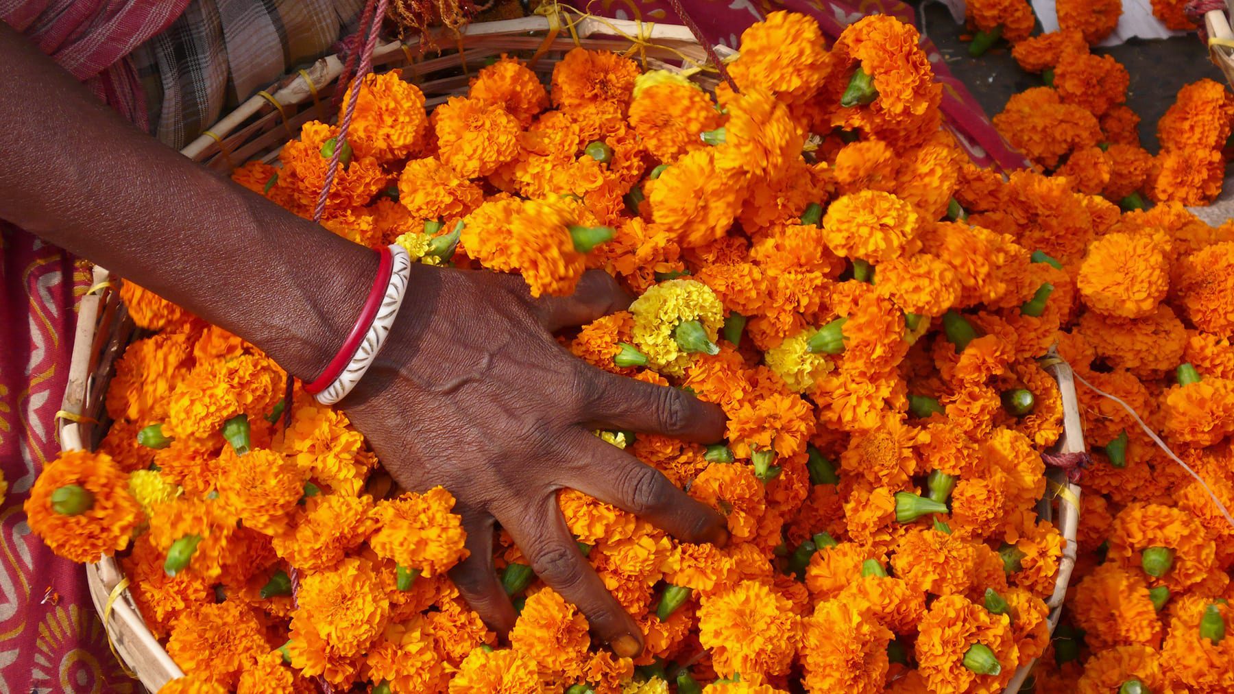 Besuchen Sie farbenprächtige Blumenmärkte in der geschäftigen Metropole Kolkata