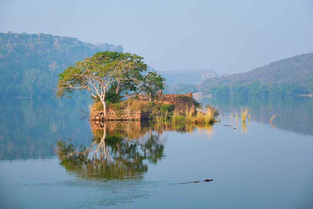 Die Landschaft von Ranthambore ist atemberaubend: der Padam-Talao-See