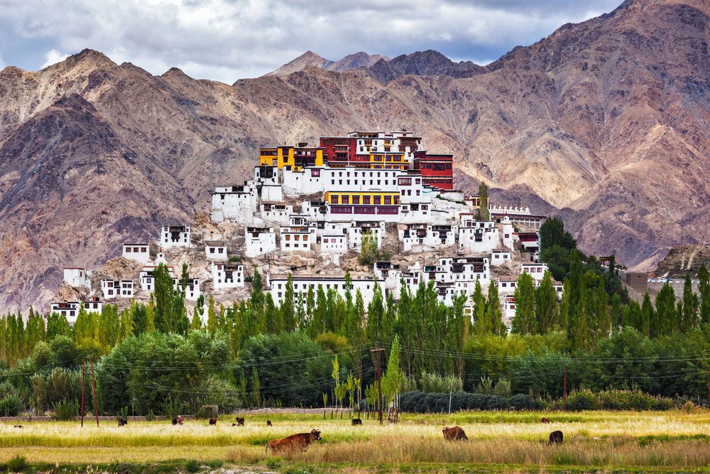 Das zauberhafte Thiksey-Kloster vor atemberaubender Kulisse in Ladakh