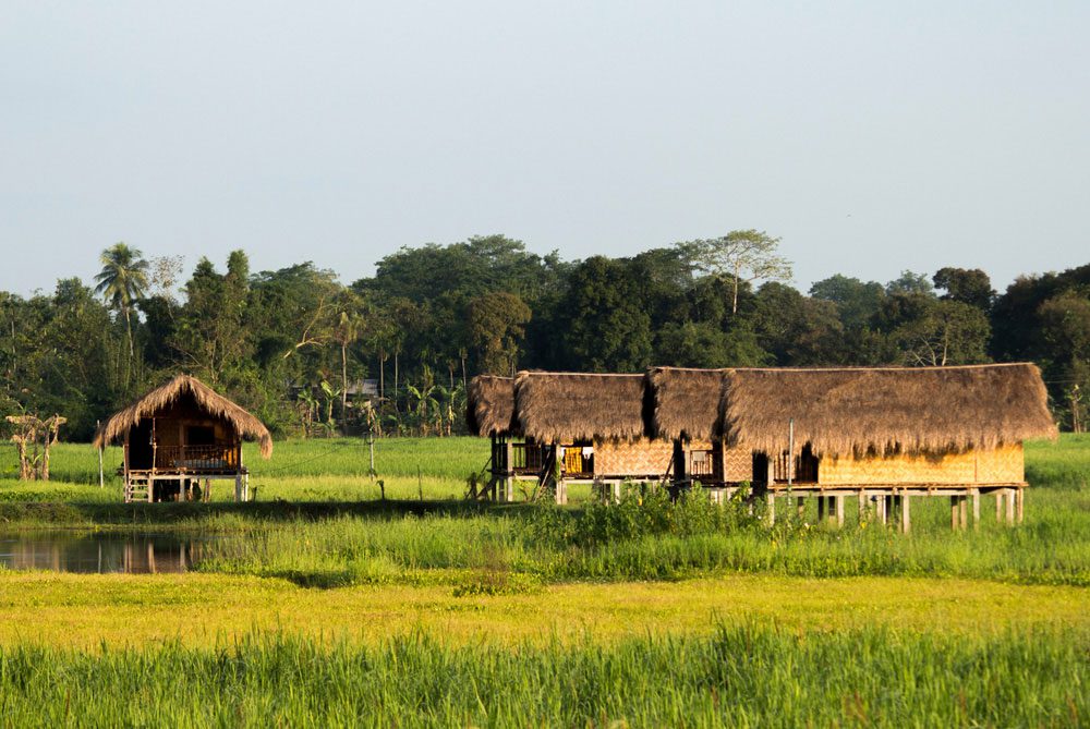 Entdecken Sie die Flussinsel Majuli auf einer individuellen Assam Reise