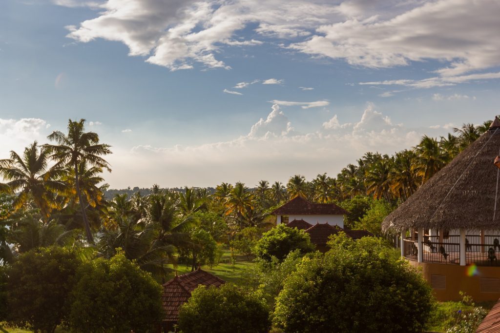 Kalari Rasayana – weiteres Bild