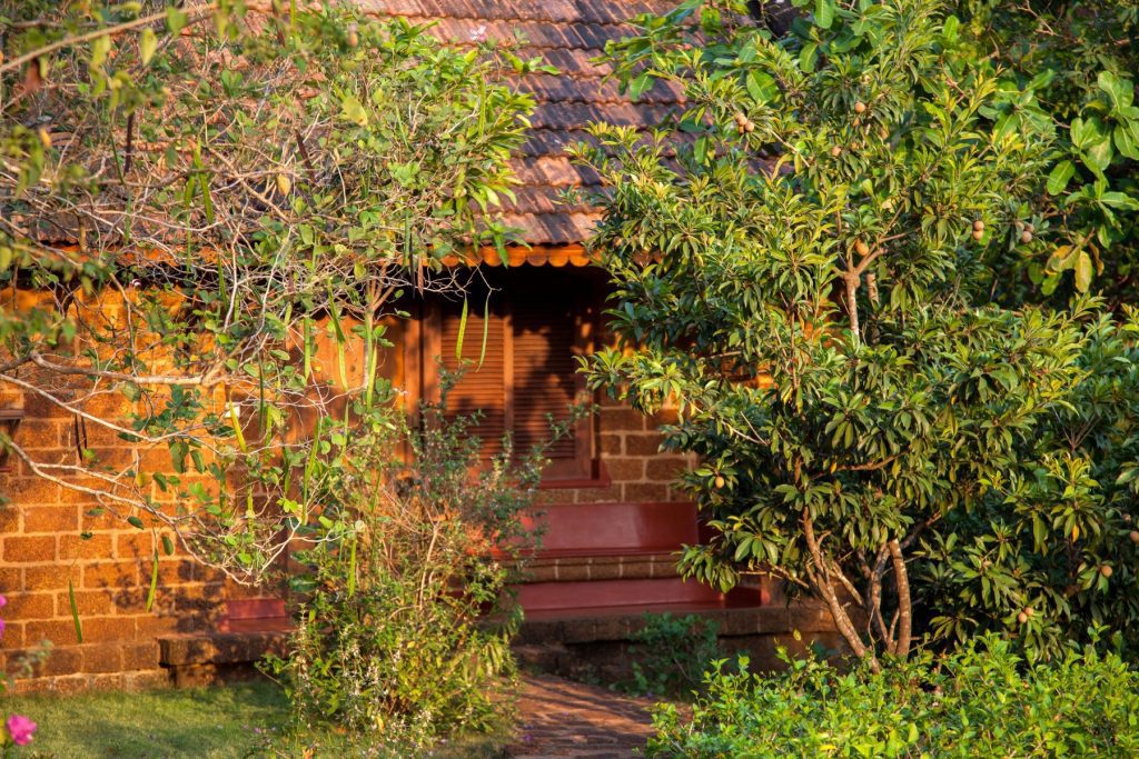 SwaSwara – weiteres Bild